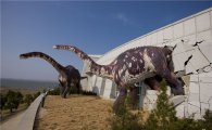 해남공룡박물관 성수기 정상개관