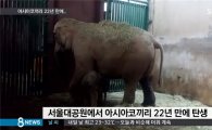 서울대공원 코끼리 번식 성공…1994년 이후 22년 만