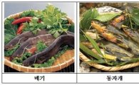 7월의 어식백세 수산물 '메기·동자개·전복'
