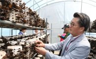 관악구 돌샘행복마을 목이버섯 재배 연간 7000만원 수익