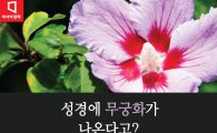 [카드뉴스]성경 '샤론의 장미'에 한국교회가 열광하는 이유