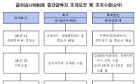 '분식회계' 책임, 회계사·감사 처벌기준 신설…18일부터 시행