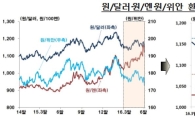 브렉시트 충격에…6월 원·달러 환율 변동폭 4년여만에 '최고'