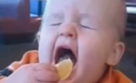 [동영상] 레몬을 처음먹는 아기들 '오구오구~'