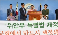 위안부 피해 할머니들 “박 대통령 무슨 자격으로 합의? 아베 사과해라"