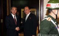 北·中 외교수장, ARF 계기 2년만 회담(종합)