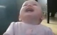 [동영상] 개가 너무 웃겨 자지러지는 아기