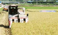 쌀 생산량 29.9만t 시장격리 최종 결정…4.9만t 늘어