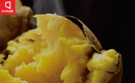 [카드뉴스]찜통더위에 군고구마, 왜 불티?