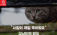 [카드뉴스]"사람이 제일 겁냐옹" 버려진 고양이의 외침