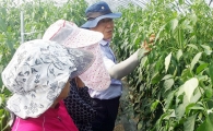 함평군 농업기술센터, 농업현장 기술지원단 운영 “큰호응”