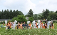 한화생명, 청소년봉사단 농촌 일손돕기 나서
