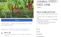 고려대생들, 단톡방 이어 페북 비밀그룹 ‘고추밭’서 동료 여학생 성희롱