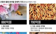 고흥군, 전남 최초 곤충산업 전문인력양성기관 선정
