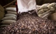 일본 커피시장 급팽창…커피 소비 3년래 최고