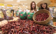 [포토]"빨갛게 잘 말린 햇 건고추 들여가세요"