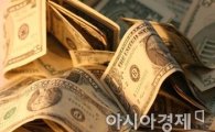 트럼프 취임 임박 '널뛰기 환율'…정부 '24시간' 모니터링