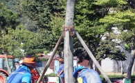 함평엑스포공원 ‘공원수를 지켜라’폭염과의 사투