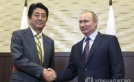 러시아 "푸틴 대통령, 12월 일본 방문"…영토 문제 논의할 듯