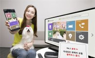 KT, 올레 tv서 애완동물 위한 서비스 '왈하우스' 출시