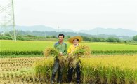 장성군 ‘쌀 산업’ 돌파구…“수출에서 해법찾다”