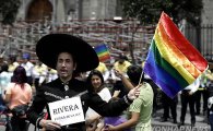 멕시코, 일부 주(州) 동성결혼 합법화 '진통'…찬반 시위 전국적 확대