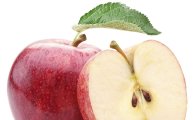 [비싸지는 과일값]사과값 오른다…출하량 전년대비 급감 