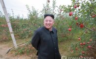 北김정은 자금관리, '노동당 39호실'로 통합 관측