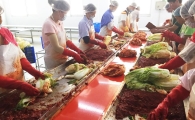 중국산 김치도 '프리미엄' 시대…로가닉, 프리미엄 중국산 '삼채김치' 선봬