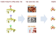 [과학을 읽다]변형 단백질 생산…암·치매 치료한다