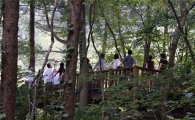 '숲에서 태교', 산음자연휴양림 이달의 추천 휴양림 선정