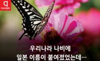 [카드뉴스]떠들썩팔랑나비, 각시멧노랑나비…이런 이름 누가 붙였지