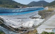 올여름 집중호우·대형태풍 예고…농업재해대책 시행