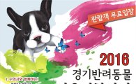 "반려동물과 추억을~"…16일 부천서 '경기도 반려동물 어울림한마당' 