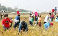 전남도농업박물관서 가을 들녘 수확 체험 하세요