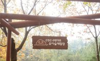 양천구 ‘유아숲체험 페스티벌’ 개최