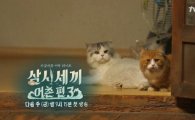 '삼시세끼', '겨울이' 인기 이어 윤균상의 고양이 관심 집중