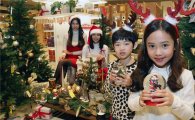 메종 티시아, 오늘부터 크리스마스 소품 판매 시작 