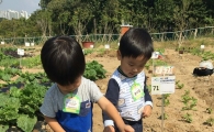 관악구, 서울시 도시농업 최고 텃밭상 수상