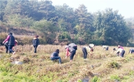 영암군 서호면, 가을철 농촌일손돕기‘구슬땀’