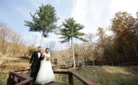 숲속 작은 결혼식, 유명산자연휴양림 내 ‘리마인드 웨딩’