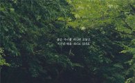 유한킴벌리의 '숲은 해열제' 캠페인, 대한민국광고대상 '라디오 대상'