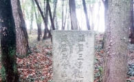 부안군 서림공원·임정유애비,산림청 국가산림문화자산 지정