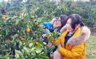 함평군드림스타트, 제주 생태문화 현장체험