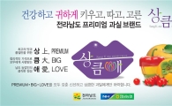 전남농협, 전남 과실브랜드 '상큼애(愛)' 브랜드 런칭 및 마케팅