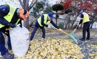 [포토]광주시 북구, 가로수 낙엽수거 재활용