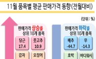 '金배춧값' 한풀 꺾였다…전월대비 44% 하락, 당근·풋고추는 오름세↑
