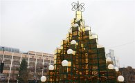 강동구청 앞 분수광장에 거울 크리스마스트리 설치