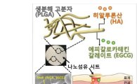 녹차 추출물…당뇨로 생긴 상처 치료 효과 뛰어나