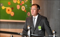 [포토]국회 들어서는 정의선 부회장